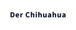 Der Chihuahua